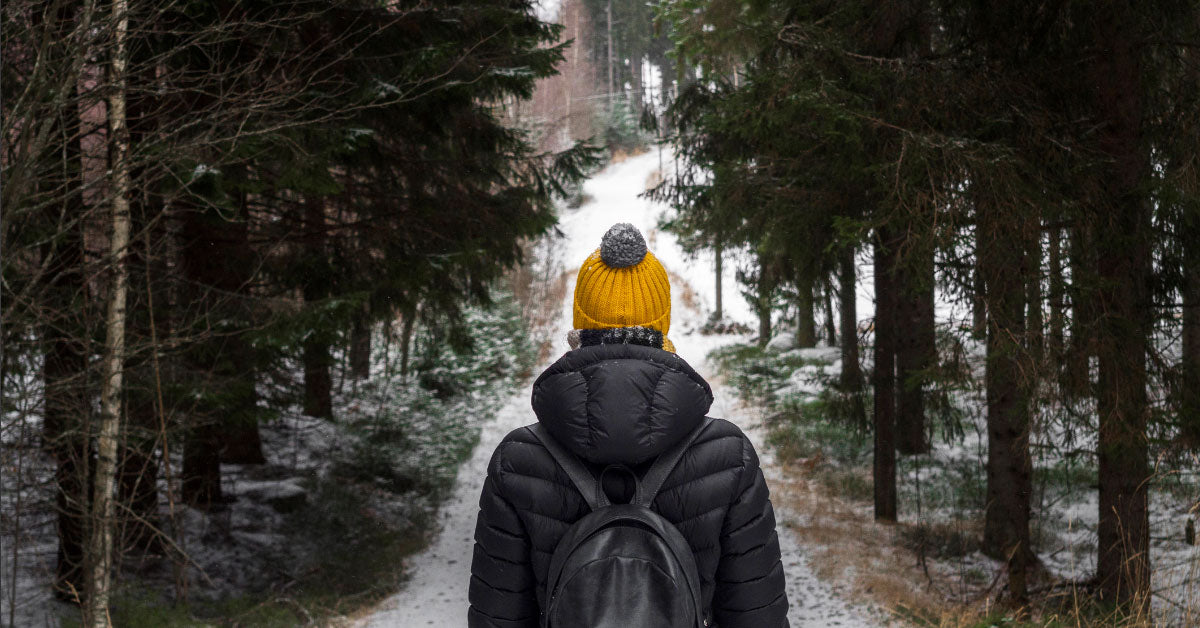 A visit to two Finnish high schools